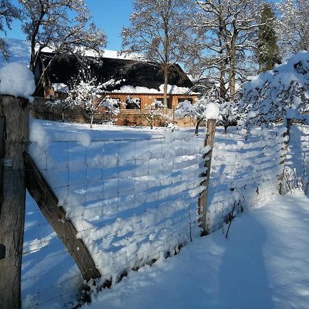 Achenheim Gite Spacieux Et Cosy A La Campagne Proche De Strasbourg מראה חיצוני תמונה