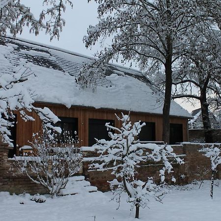 Achenheim Gite Spacieux Et Cosy A La Campagne Proche De Strasbourg מראה חיצוני תמונה