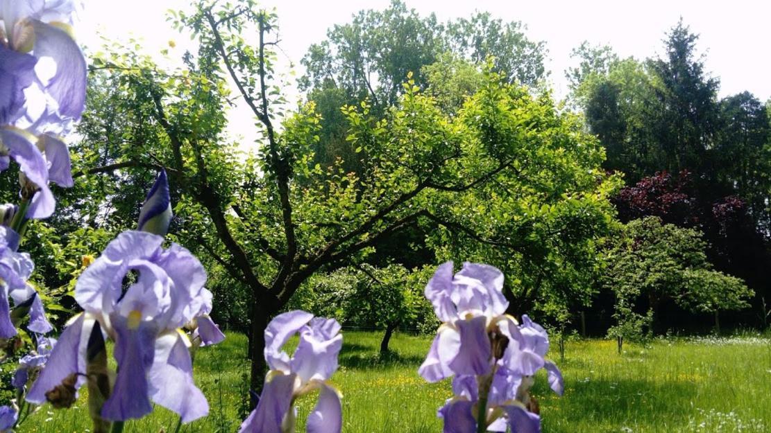 Achenheim Gite Spacieux Et Cosy A La Campagne Proche De Strasbourg מראה חיצוני תמונה