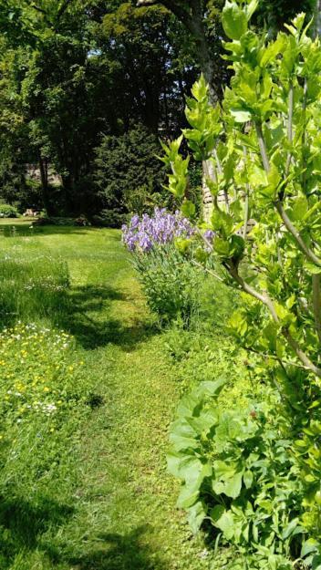 Achenheim Gite Spacieux Et Cosy A La Campagne Proche De Strasbourg מראה חיצוני תמונה