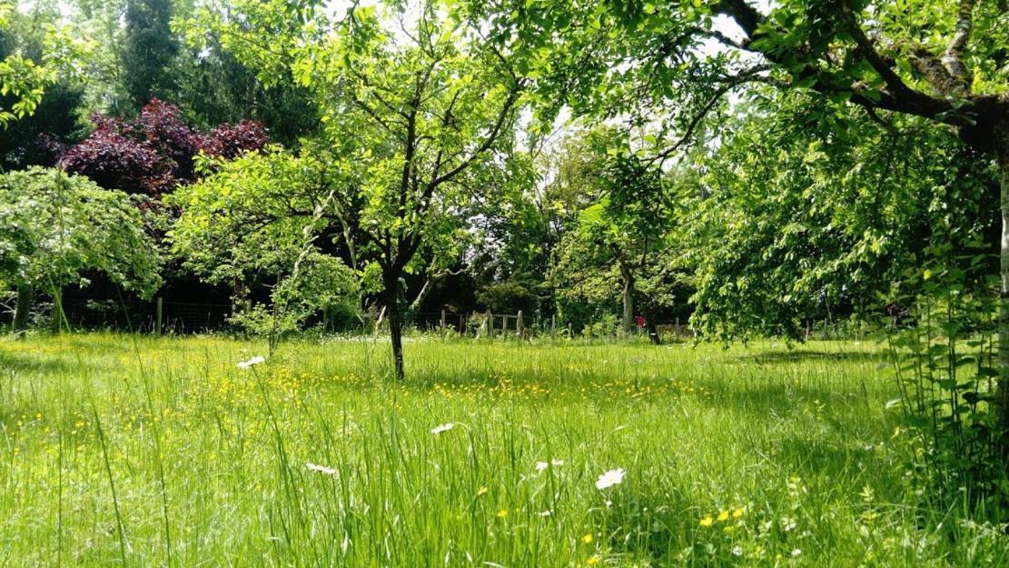 Achenheim Gite Spacieux Et Cosy A La Campagne Proche De Strasbourg מראה חיצוני תמונה