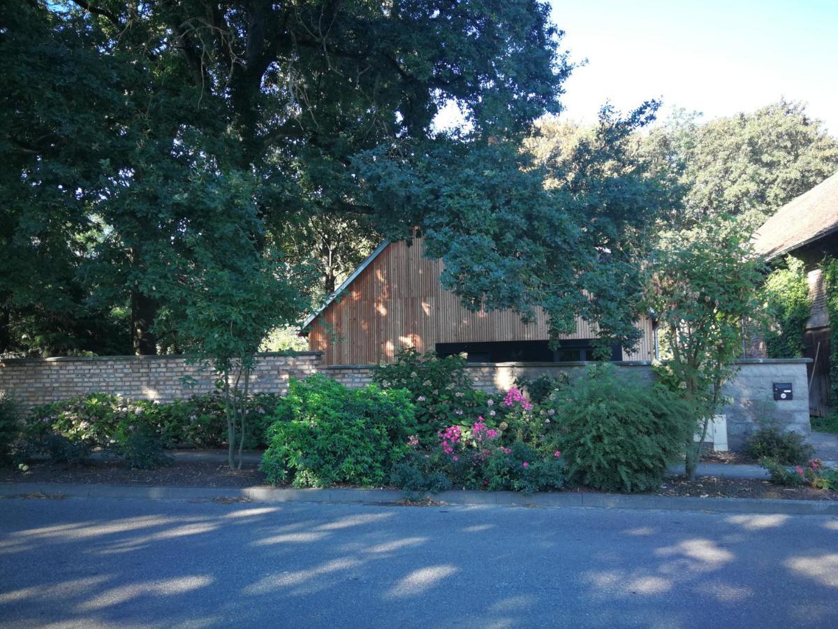 Achenheim Gite Spacieux Et Cosy A La Campagne Proche De Strasbourg מראה חיצוני תמונה